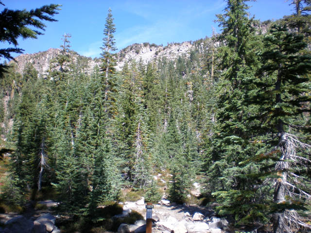 20Panther_Meadows
