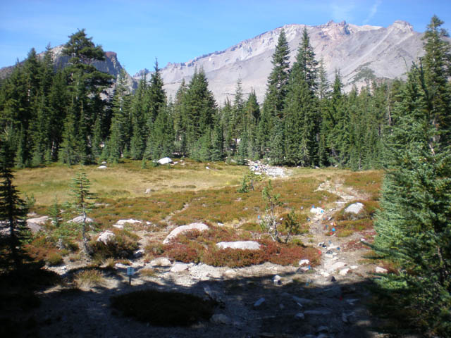 21Panther_Meadows