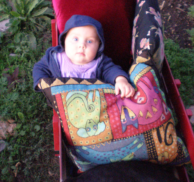 39Kayla_wagon