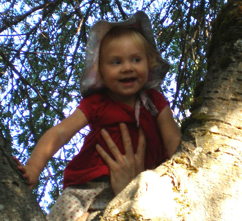 44Kayla_in_tree