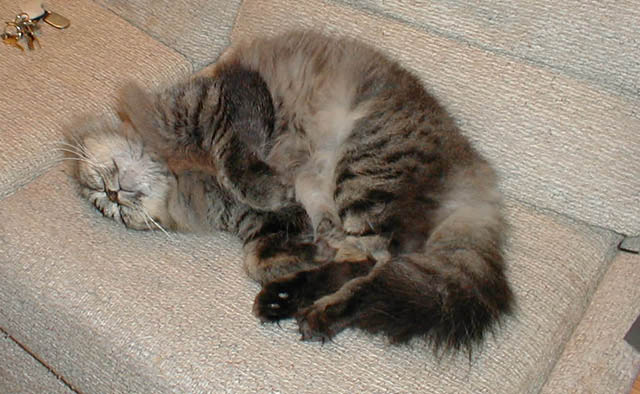 04Reagan_snooze
