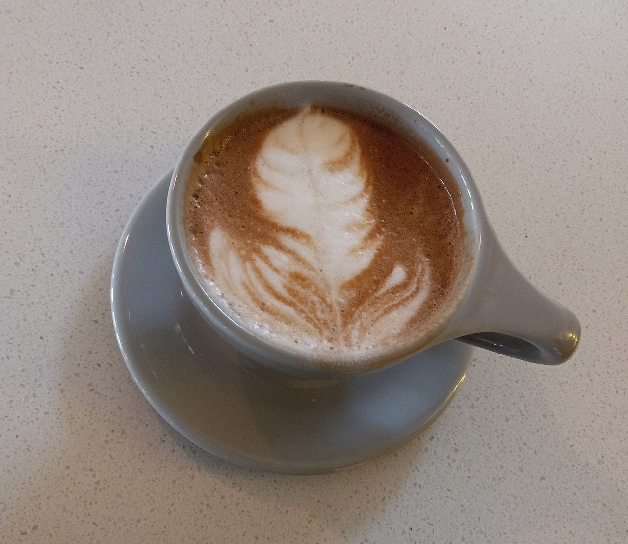 Mocha 01