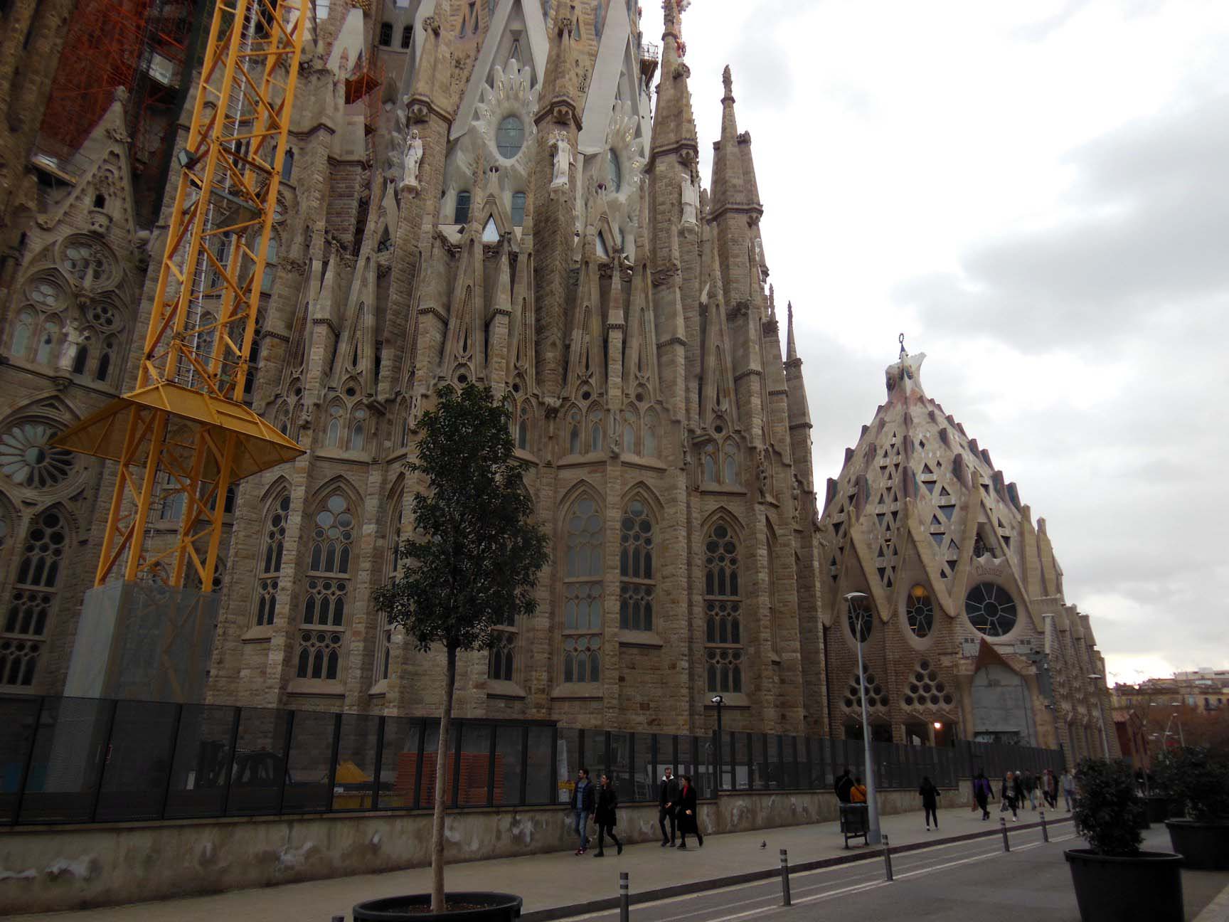 DSCN4955a