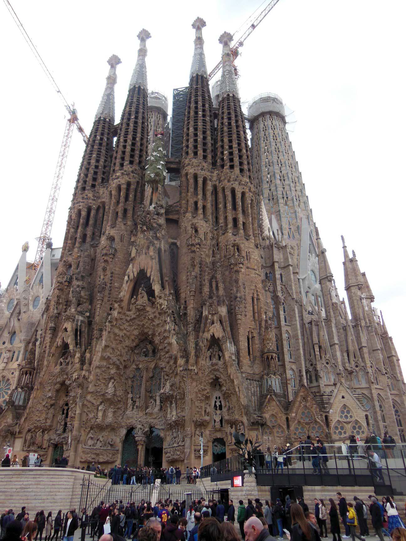 DSCN4959a