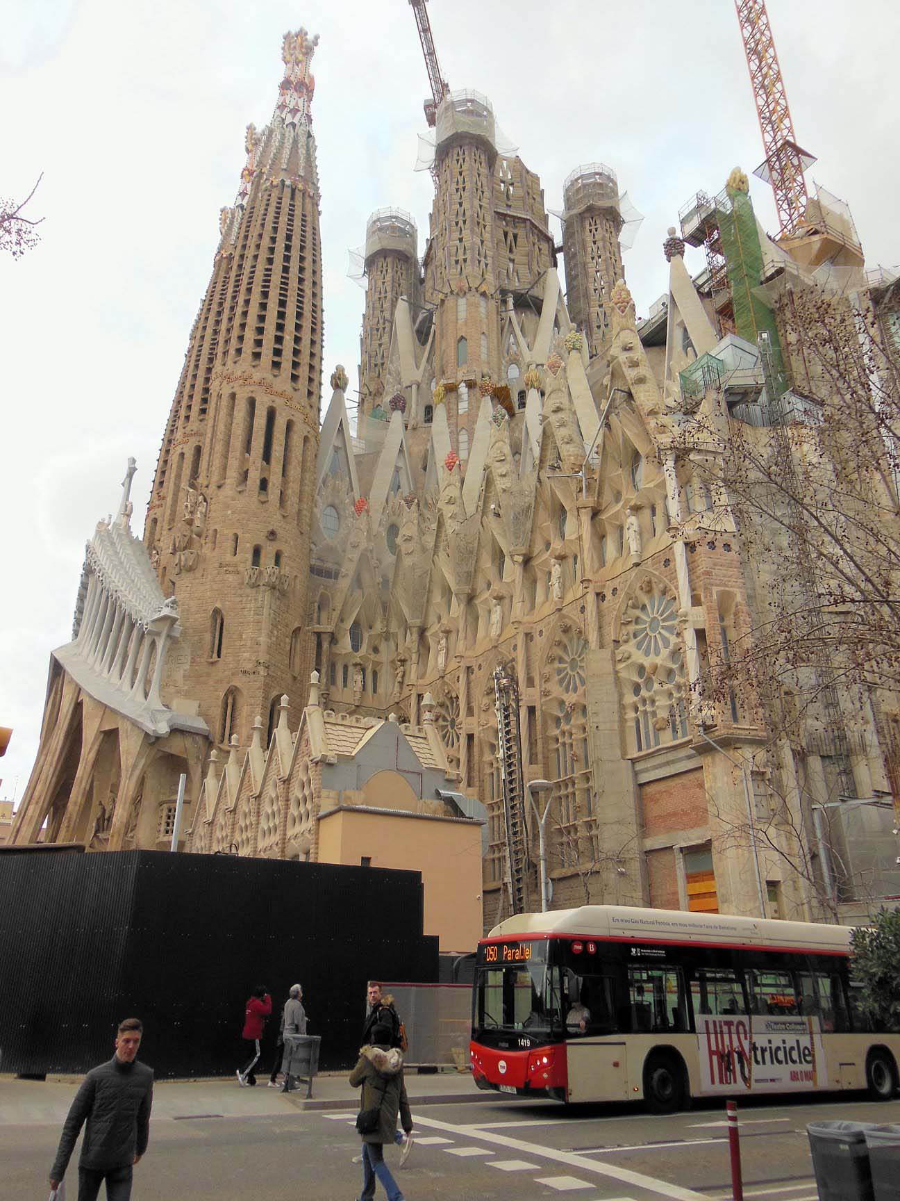 DSCN4962a