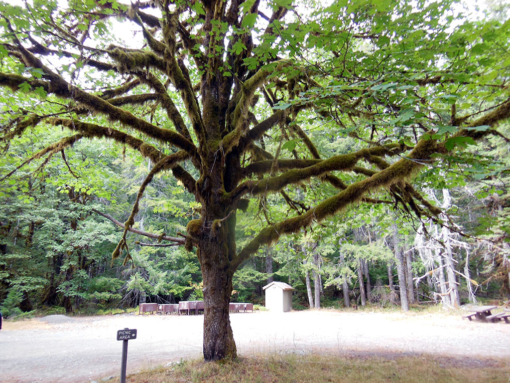 Staircase Rapids Trail