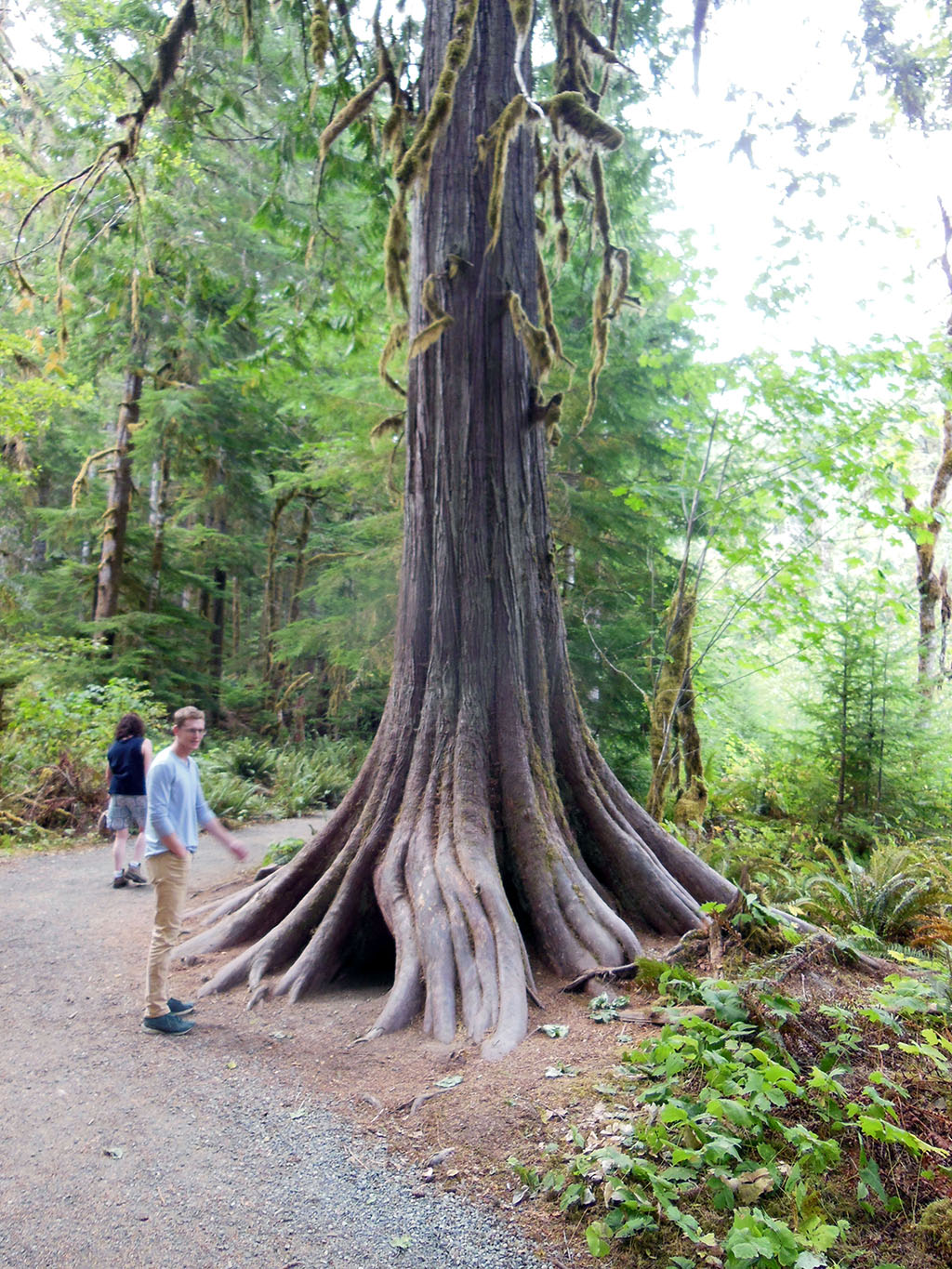 Nick Next to Big Tree