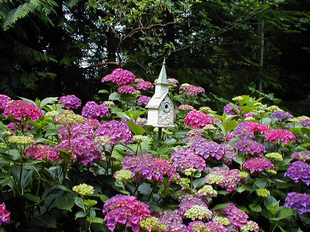 05071004