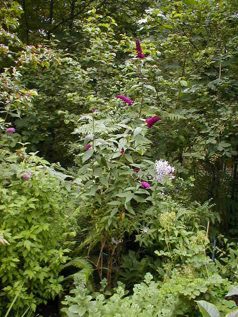 05071057