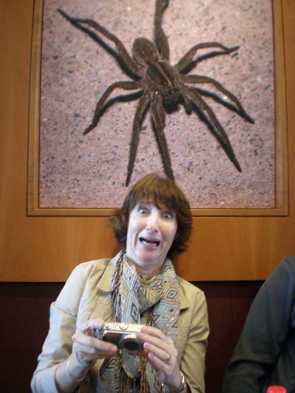 06Jo_Spider
