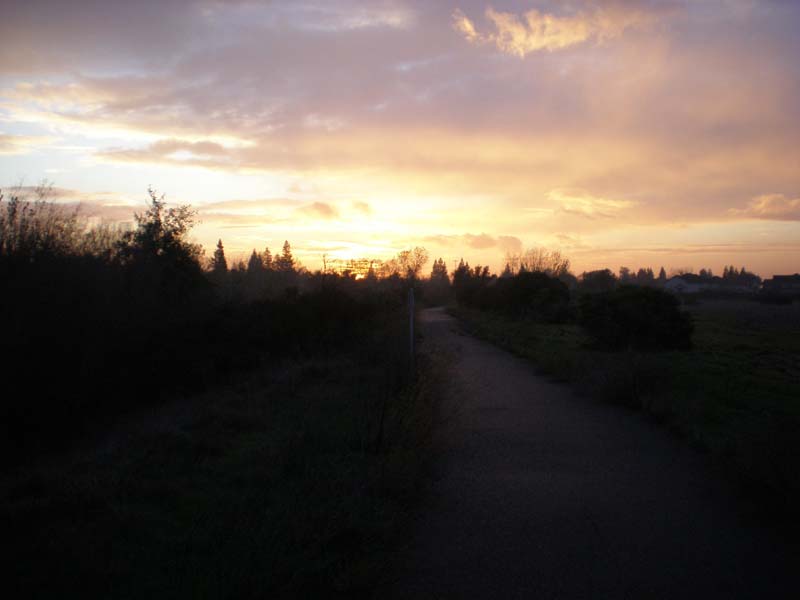 40sunset_in_Galt