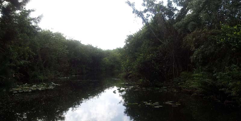 046everglades