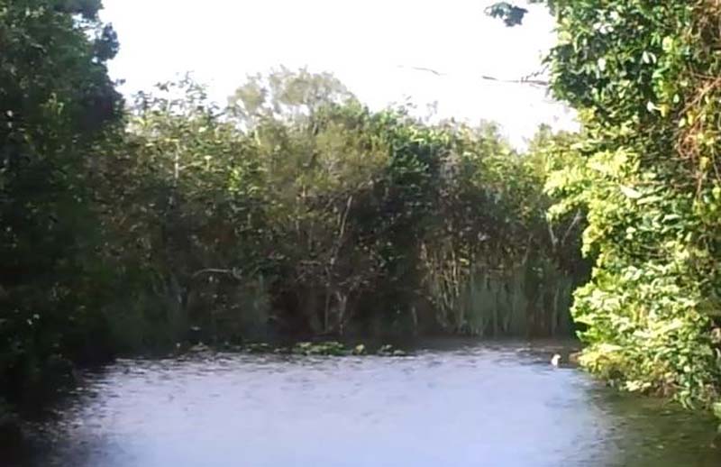 048air_boat_everglades_video