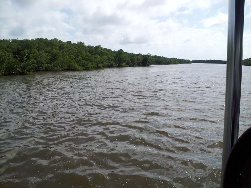 071estuary