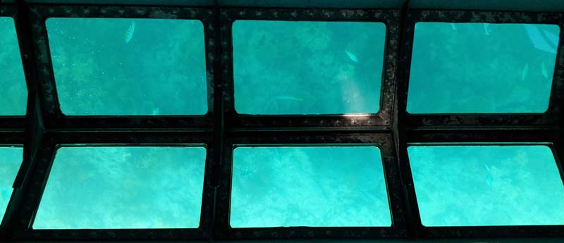082glass_bottom_boat