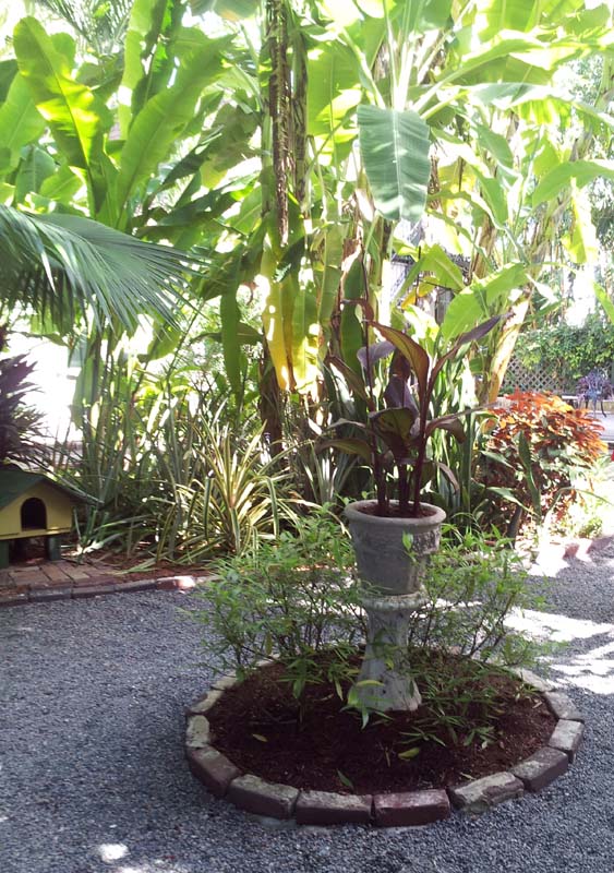 091Ernest_Hemingway_Home