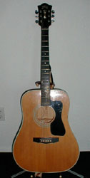 Guild D44
