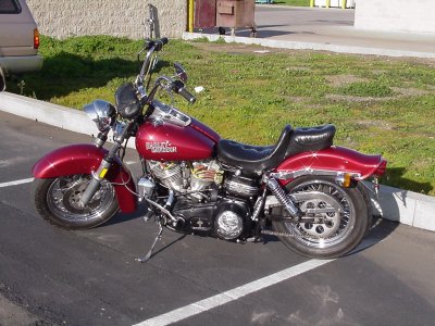 Slut Puppy's left side