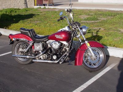 Slut Puppy's right side