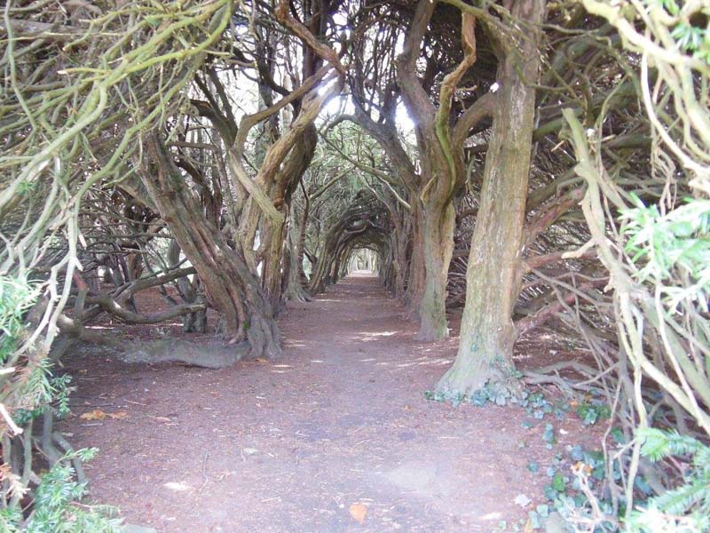 020Inside_the_entrance