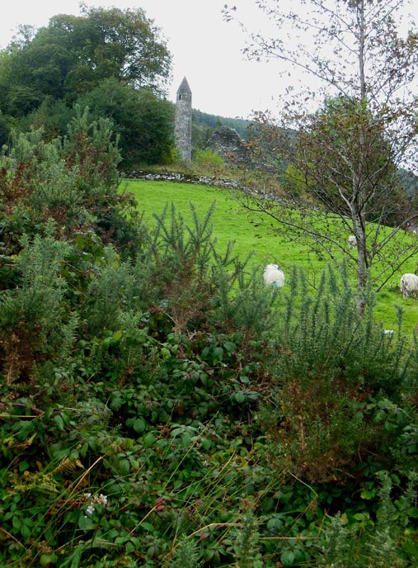 048View_from_trail_in_Glendalough
