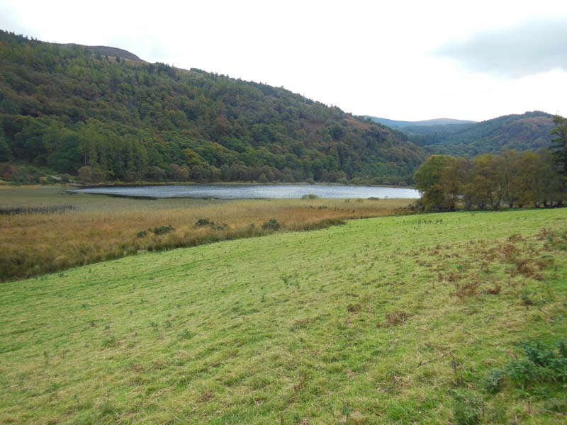 050Trail_to_Upper_Lake_in_Glendalough