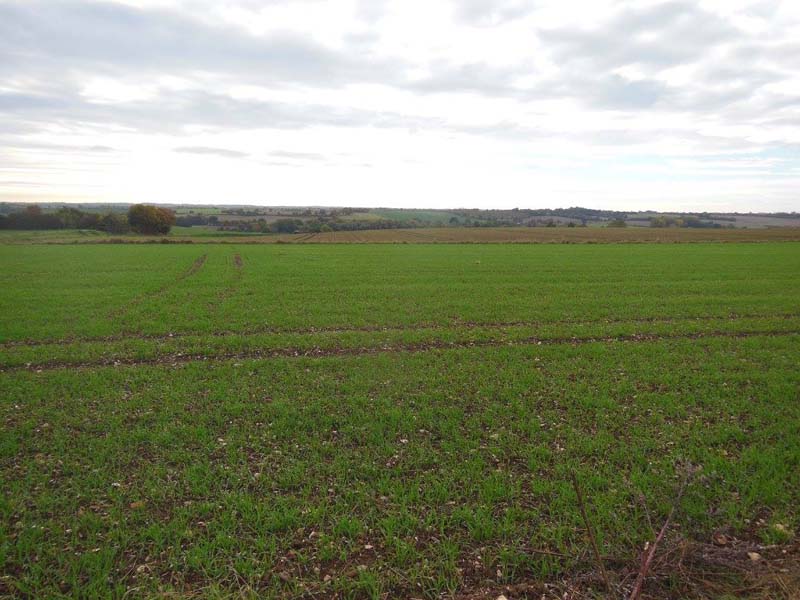 110Walk_around_Glemsford