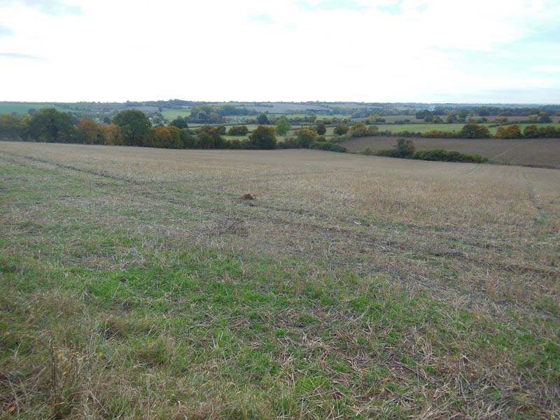 112Walk_around_Glemsford