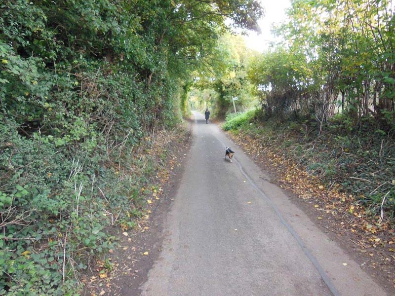 113Taking_Louie_for_walkies