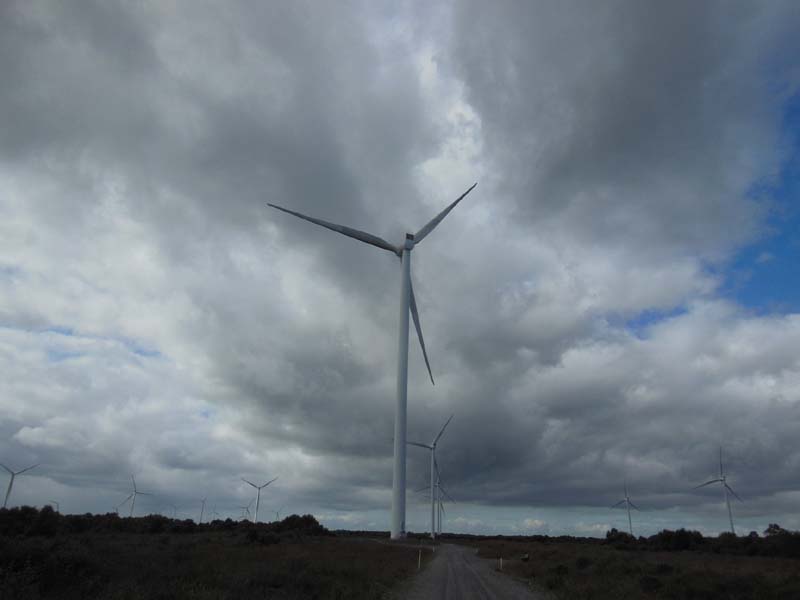 32_Mount_Lucas_Wind_Farm_Sept09