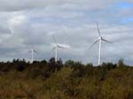 29_Mount_Lucas_Wind_Farm_Sept09