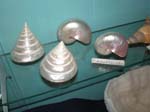 68shells_in_crystal_shop