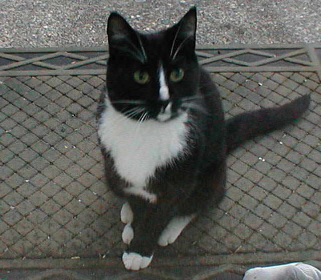 07Oliver's_Twin05