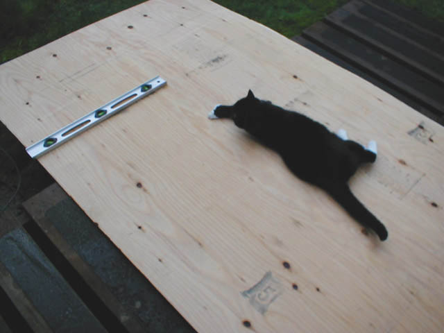 15plywood