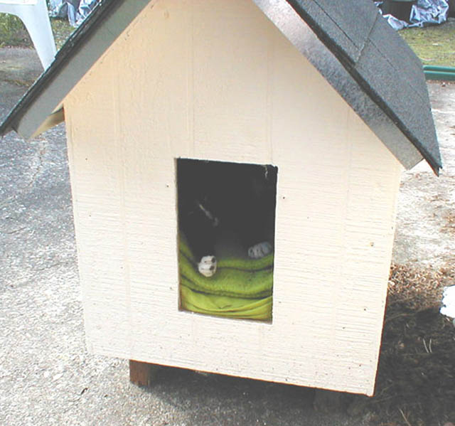 24LB_in_cat_house03