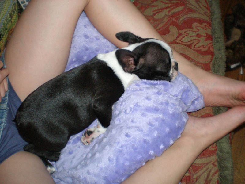 04Bubbles_sleeping