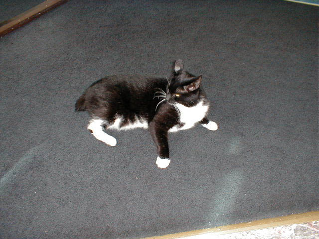 01_August_28_2003