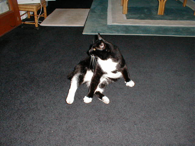 02_August_29_2003