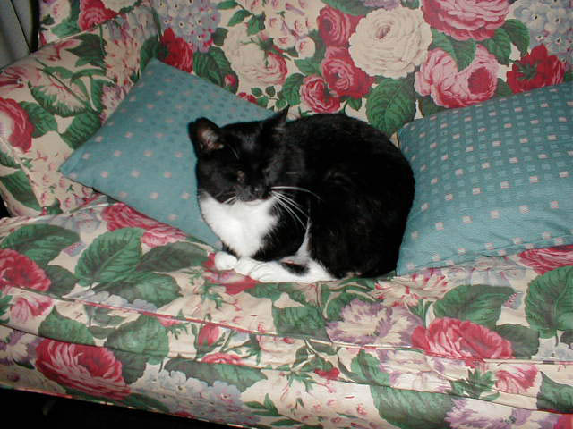 13_October_21_2003