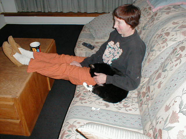 15_November_02_2003