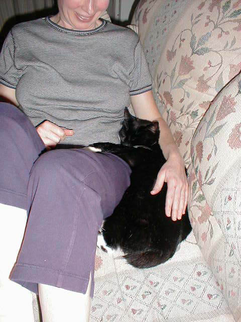 16_November_15_2003