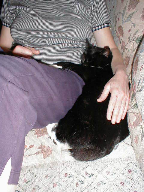 17_November_15_2003