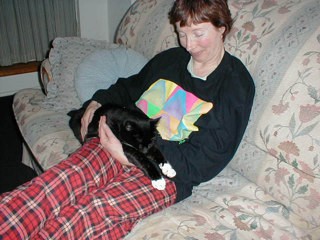 18_November_24_2003