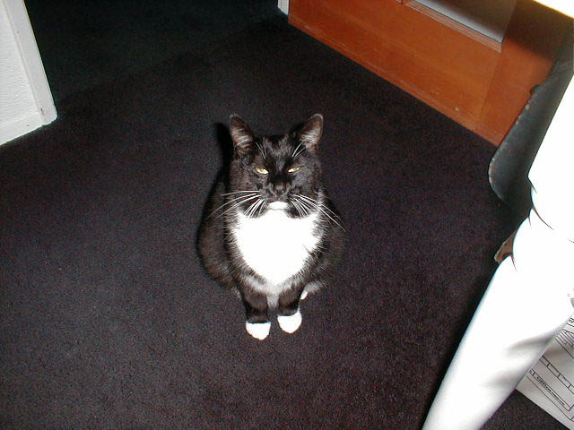 19_February_26_2004