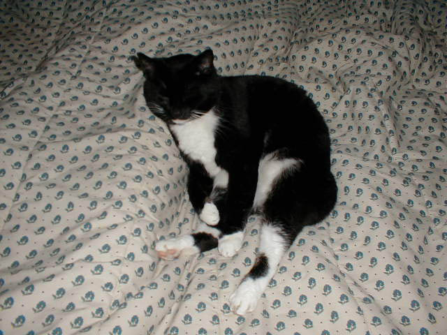21_May_07_2004