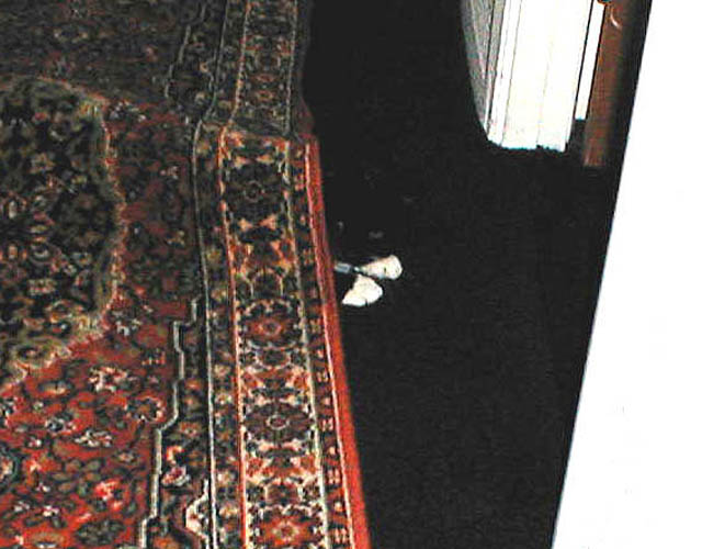 34_March_26_2005