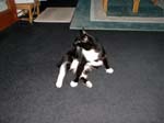 02_August_29_2003