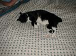 04_September_07_2003