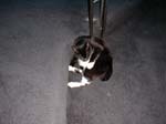 05_September_09_2003