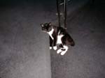 09_September_24_2003